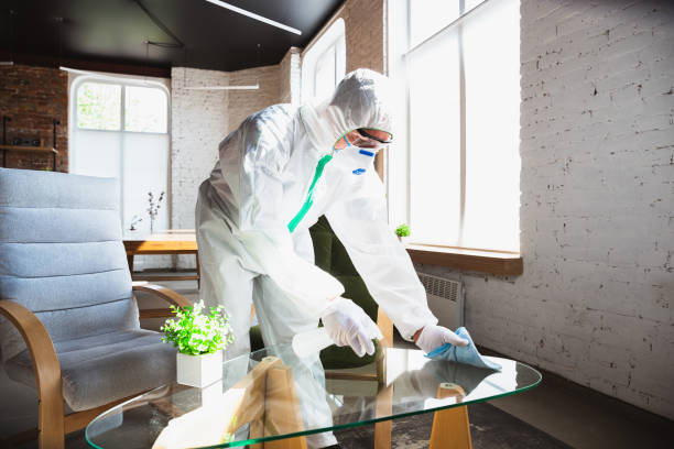 Why You Should Choose Our Mold Remediation Services in Warren Park, IN