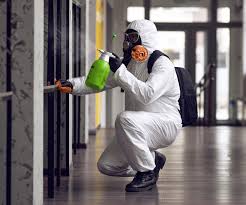 Best Comprehensive Air Testing for Mold Contaminants  in Warren Park, IN